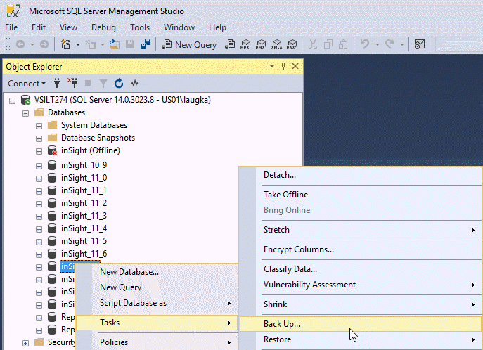 Back up SQL Databases – Insight