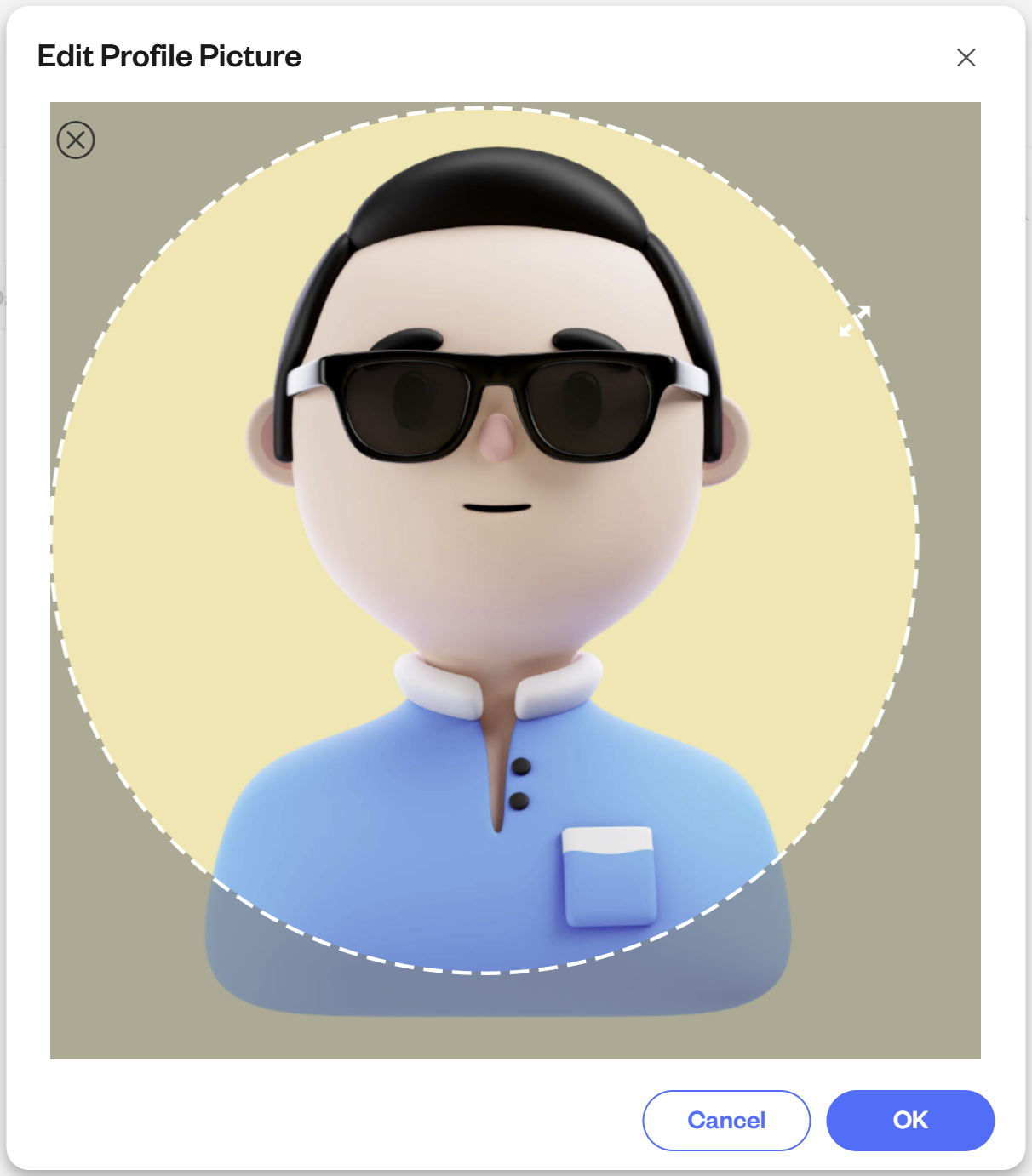 Changing A User Profile Picture Insight